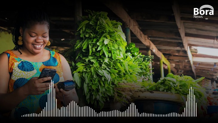 Kivu Green, le combat de l'agriculture digitale en RDC