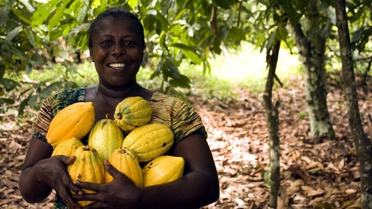 Nord-Kivu : une foire agricole sans intermédiaires en faveur des producteurs locaux